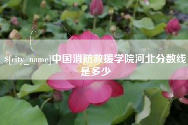 广东中国消防救援学院河北分数线是多少