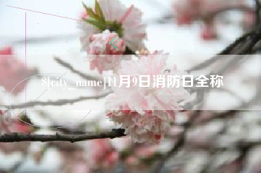 广东11月9日消防日全称