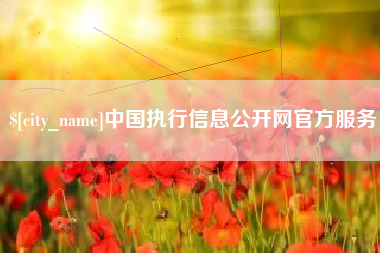 广东中国执行信息公开网官方服务