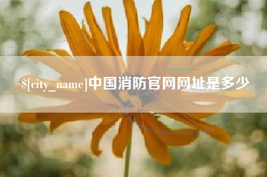 广东中国消防官网网址是多少