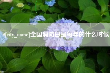 广东全国消防日是每年的什么时候