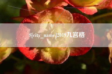 广东2019九宫格