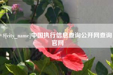广东中国执行信息查询公开网查询官网