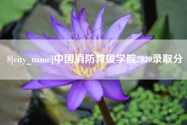 广东中国消防救援学院2020录取分