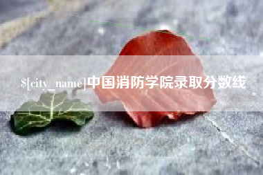 广东中国消防学院录取分数线