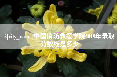 广东中国消防救援学院2019年录取分数线是多少