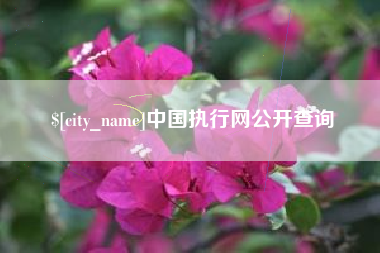 广东中国执行网公开查询