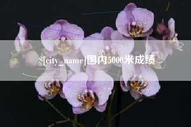 广东国内5000米成绩