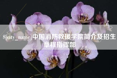 广东中国消防救援学院简介及招生章程指挥部