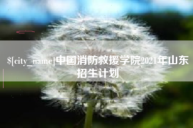 广东中国消防救援学院2021年山东招生计划
