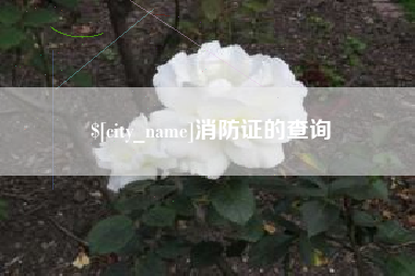 广东消防证的查询