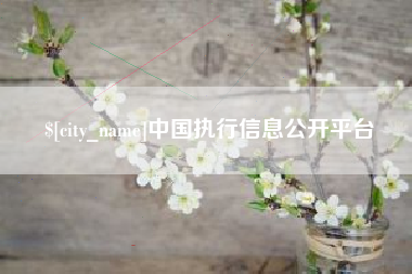 广东中国执行信息公开平台