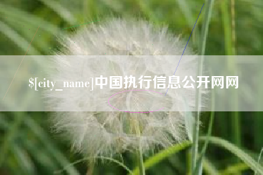 广东中国执行信息公开网网