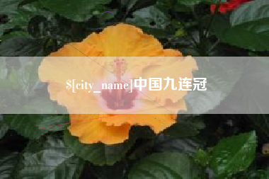 广东中国九连冠