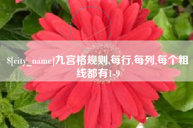 广东九宫格规则,每行,每列,每个粗线都有1-9