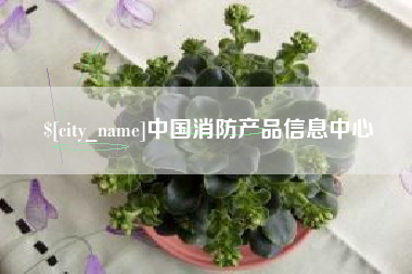 广东中国消防产品信息中心