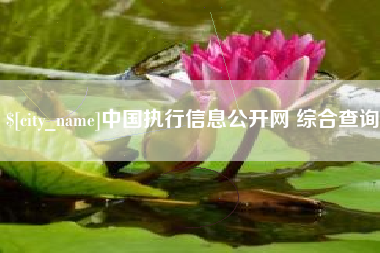 广东中国执行信息公开网 综合查询
