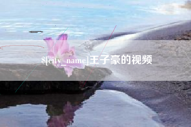 广东王子豪的视频