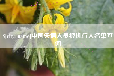 广东中国失信人员被执行人名单查询