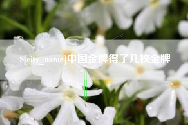 广东中国金牌得了几枚金牌
