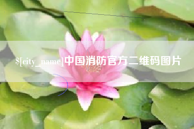 广东中国消防官方二维码图片