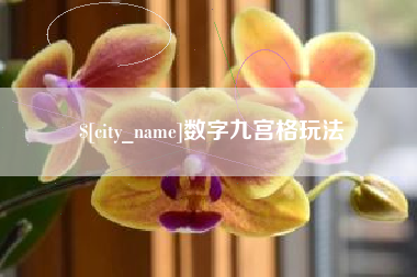 广东数字九宫格玩法