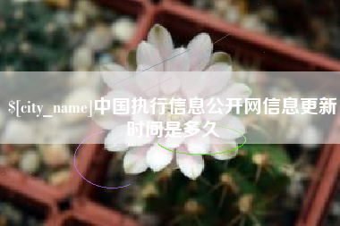 广东中国执行信息公开网信息更新时间是多久