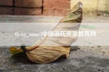 广东中国消防救援教育网