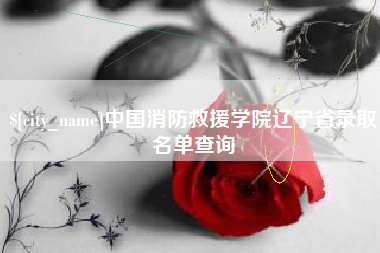 广东中国消防救援学院辽宁省录取名单查询