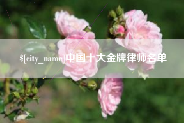 广东中国十大金牌律师名单