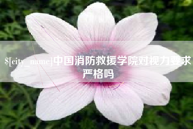 广东中国消防救援学院对视力要求严格吗