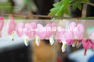 广东消防设备ccc认证