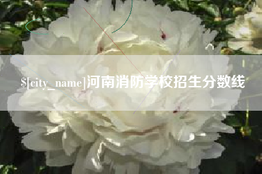 广东河南消防学校招生分数线 广东河南消防学校招生分数线