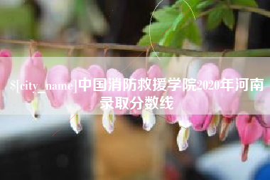 广东中国消防救援学院2020年河南录取分数线