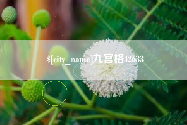 广东九宫格42633