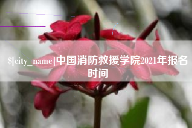 广东中国消防救援学院2021年报名时间