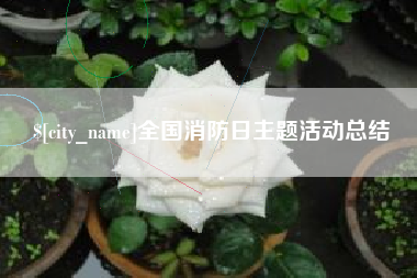 广东全国消防日主题活动总结