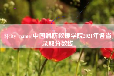 广东中国消防救援学院2021年各省录取分数线