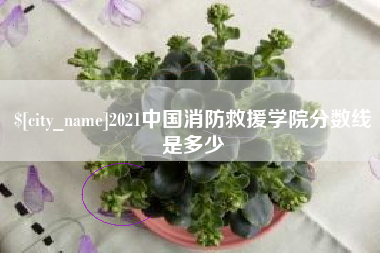 广东2021中国消防救援学院分数线是多少