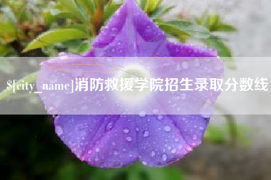 广东消防救援学院招生录取分数线