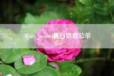 广东执行信息公示