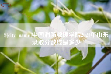 广东中国消防救援学院2021年山东录取分数线是多少