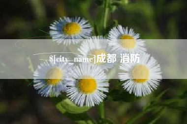 广东成都 消防