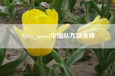 广东中国队九块金牌