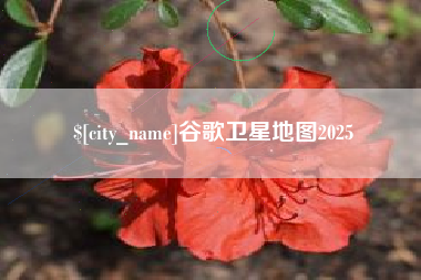 广东谷歌卫星地图2025