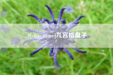 广东九宫格盘子