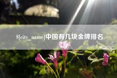 广东中国有几块金牌排名