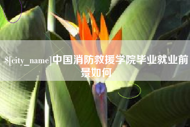 广东中国消防救援学院毕业就业前景如何