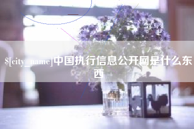 广东中国执行信息公开网是什么东西