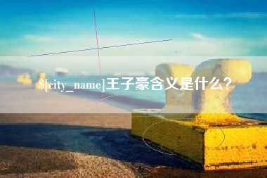 广东王子豪含义是什么？